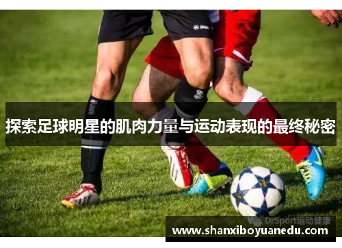 探索足球明星的肌肉力量与运动表现的最终秘密