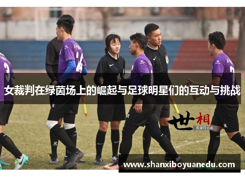 女裁判在绿茵场上的崛起与足球明星们的互动与挑战