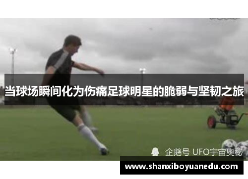 当球场瞬间化为伤痛足球明星的脆弱与坚韧之旅