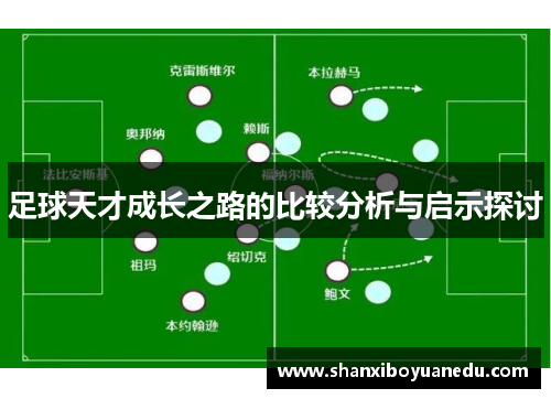 足球天才成长之路的比较分析与启示探讨