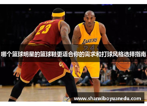 哪个篮球明星的篮球鞋更适合你的需求和打球风格选择指南
