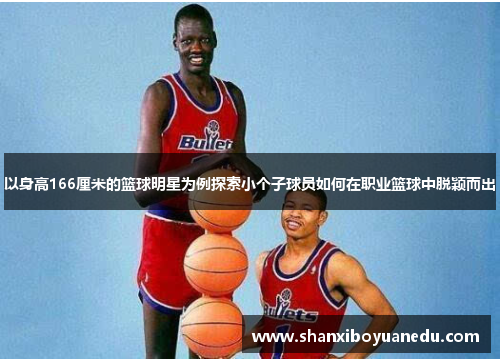 以身高166厘米的篮球明星为例探索小个子球员如何在职业篮球中脱颖而出