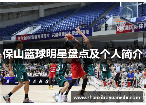 保山篮球明星盘点及个人简介